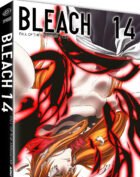 BLEACH DVD - ARC 14 PART 1: FALL OF THE ARRANCAR (EPS. 266-291) (4 DVD) (FIRST PRESS)