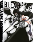 BLEACH DVD - ARC 14 PART 2: FALL OF THE ARRANCAR (EPS. 292-316) (4 DVD) (FIRST PRESS)