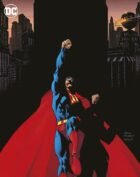 SUPERMAN (PANINI) 54 VARIANT DI ANDY KUBERT SUPERMAN 1
